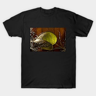 Poto Leaf Isolated T-Shirt